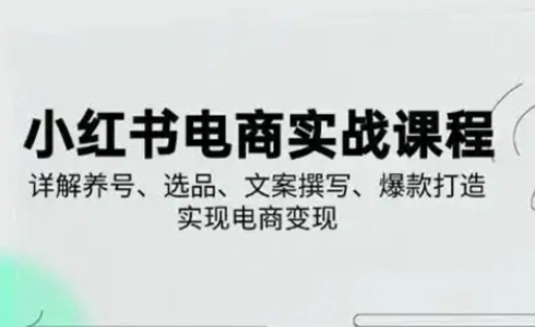 小红书从0-1实操课(2023-2025)，详解养号、选品、文案撰写、爆款打造实现电商变现-东方阿立·创业研究社