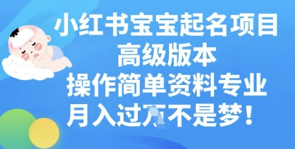 小红书宝宝起名项目高级版本，操作简单，资料专业，月入过W-东方阿立·创业研究社
