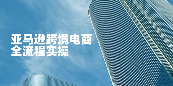 （14252期）亚马逊跨境电商全流程实操，教你从零开始，掌握店铺运营与广告技巧-东方阿立·创业研究社