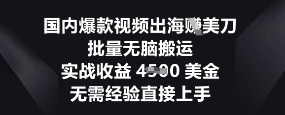 国内爆款视频出海挣美刀，批量无脑搬运，实战收益4.5k，无需经验直接上手-东方阿立·创业研究社