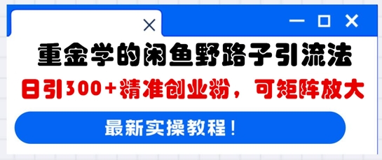 重金学的闲鱼野路子引流法，日引300+精准创业粉，可矩阵放大-东方阿立·创业研究社