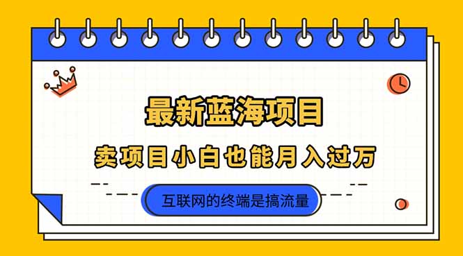 (14289期)2025年最新蓝海项目,卖项目小白也能月入过万-东方阿立·创业研究社