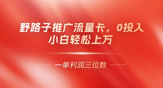0门槛推广流量卡，一单收益上百，0投入，小白月入过W-东方阿立·创业研究社