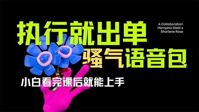 （14170期）爆火全网的开车导航骚气语音包,只要执行就出单，小白看完课程就能实操...-东方阿立·创业研究社